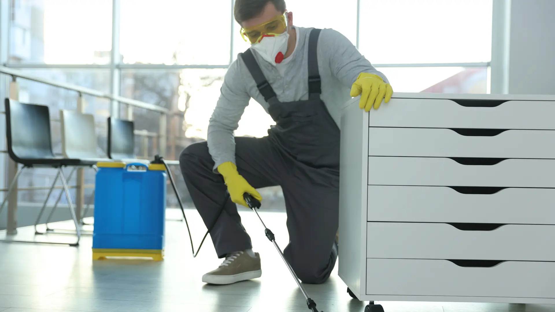 Dedetizadora Nissan em São Paulo