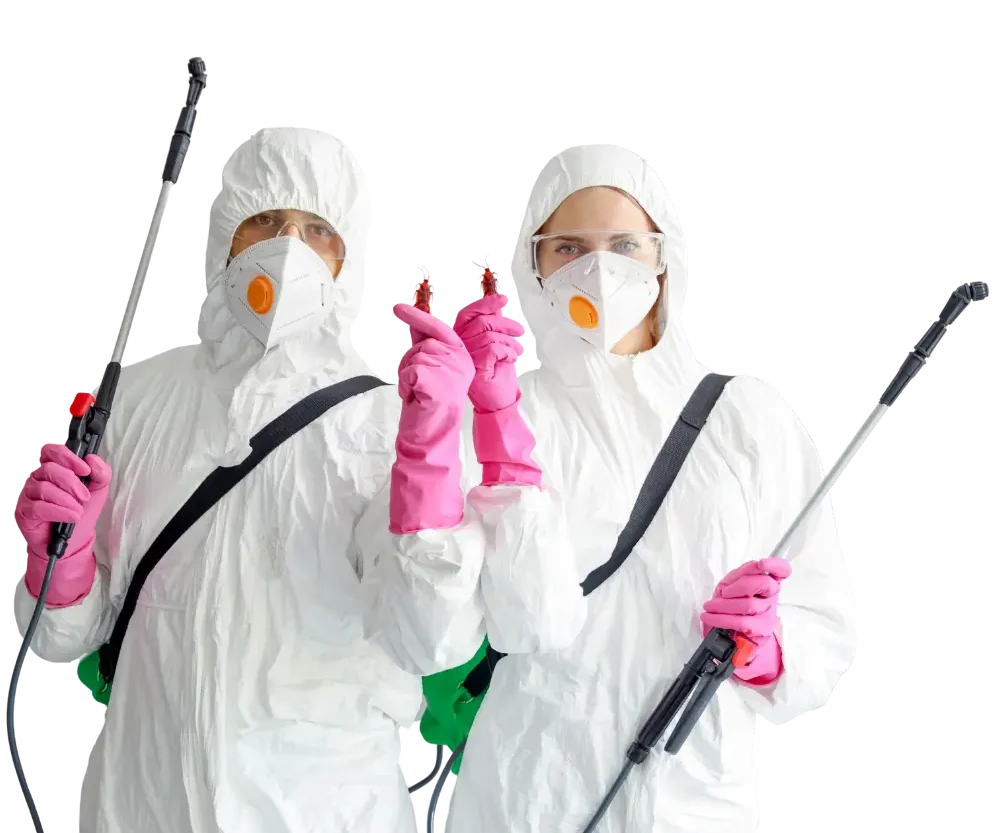 Dedetizadora Nissan em São Paulo