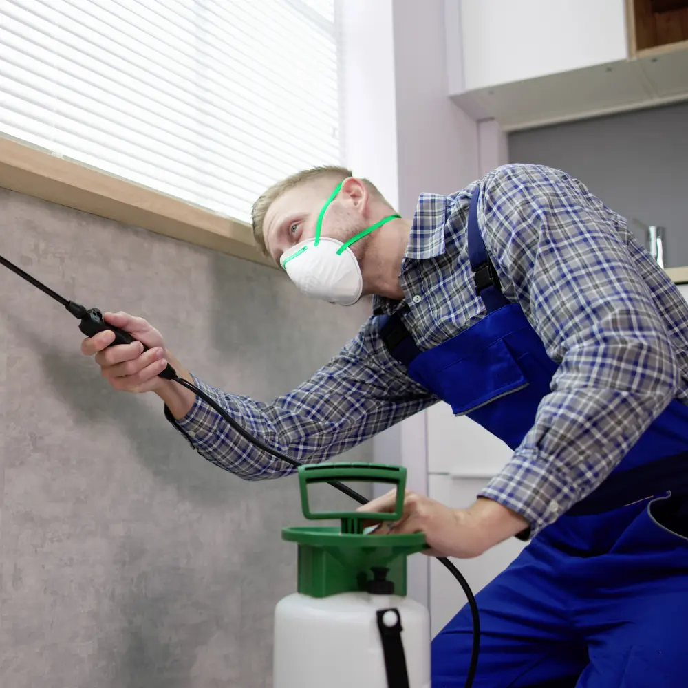 Dedetizadora Nissan em São Paulo