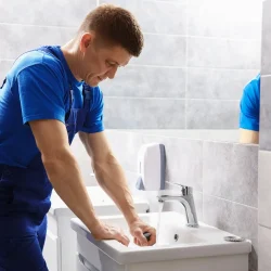 Dedetizadora Nissan em São Paulo