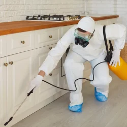 Dedetizadora Nissan em São Paulo